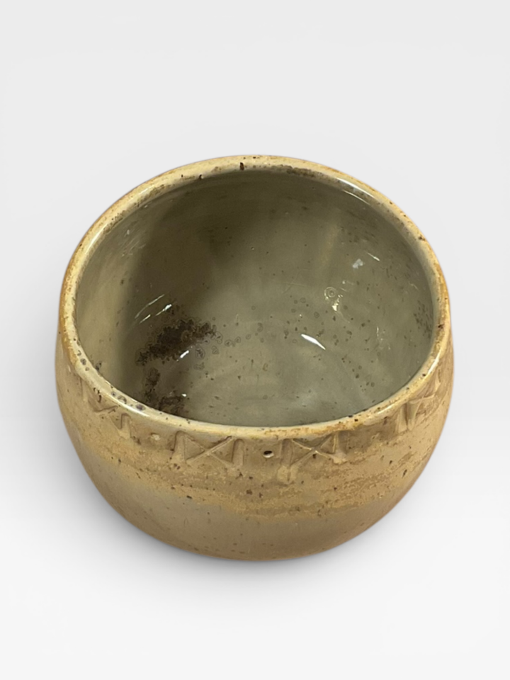 Tuzluk / Nest