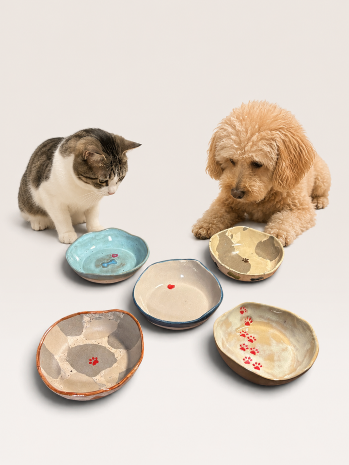 Kedi & Köpek Mama Kapları